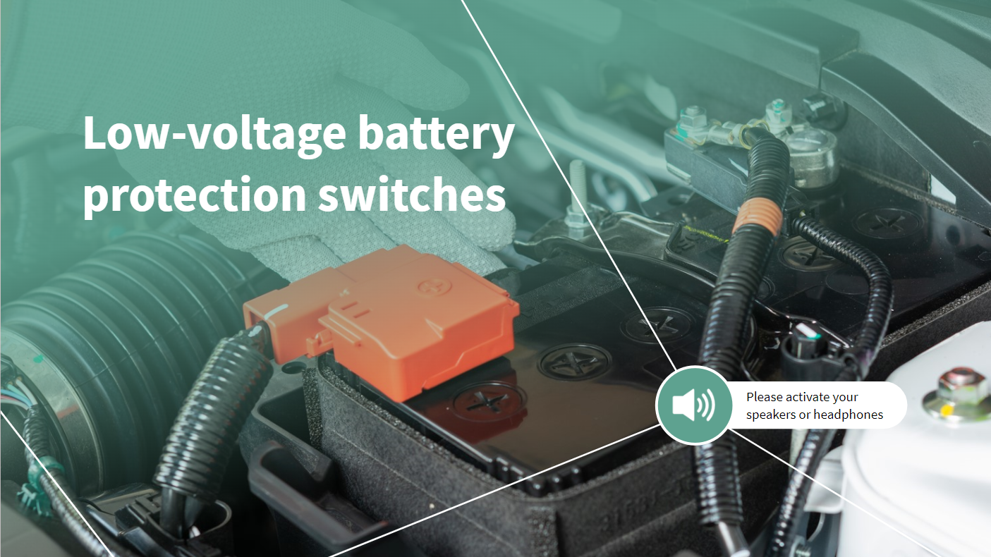 Low voltage battery protection switches training image