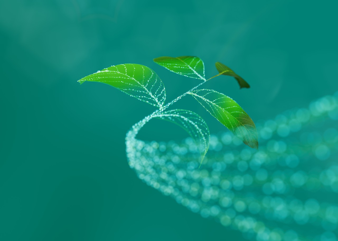 Annual General Meeting 2026