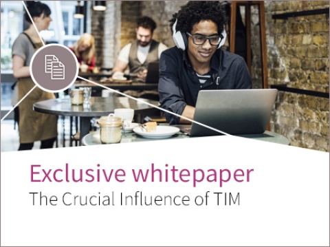 Banner for the Whitepaper The Crucial Influence of TIM