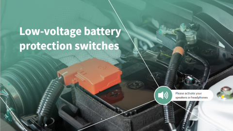 Low voltage battery protection switches