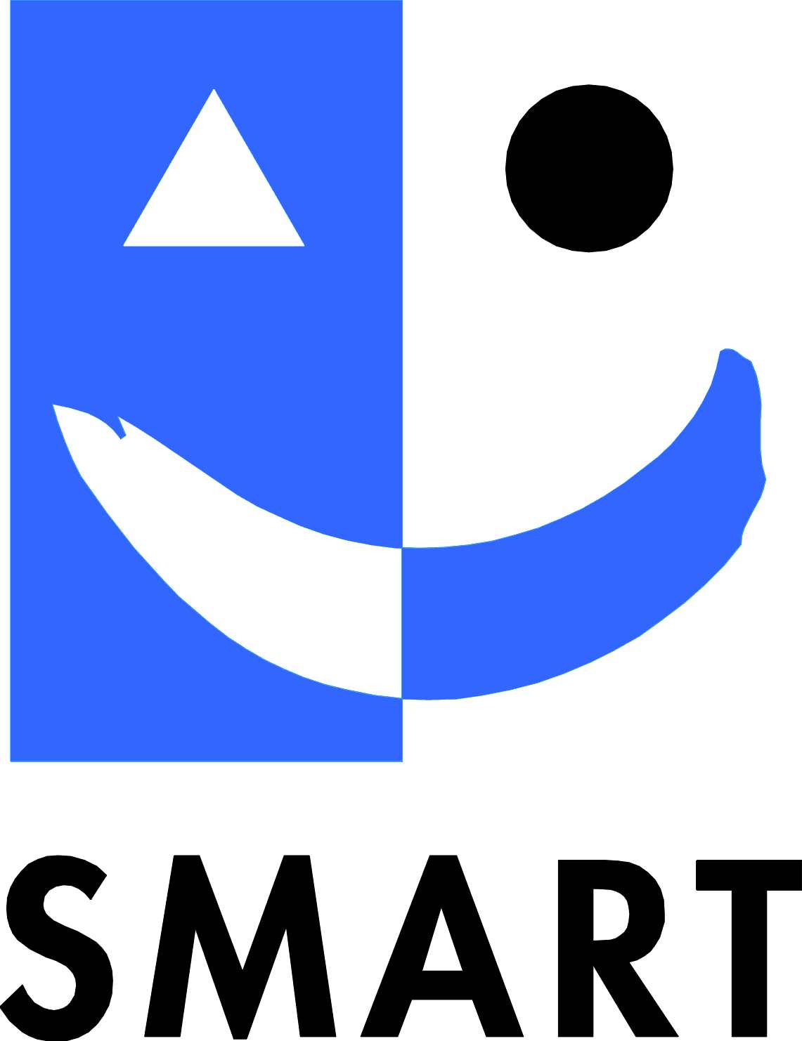 smart_96